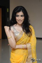 Gazal Somaiah at The End Movie Audio Launch